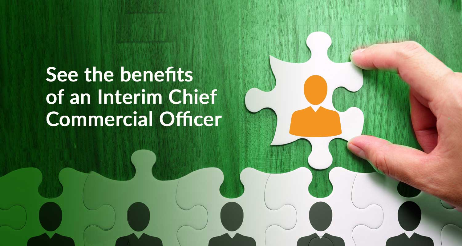 Full Commercial Support Without the Risk (and Cost)
