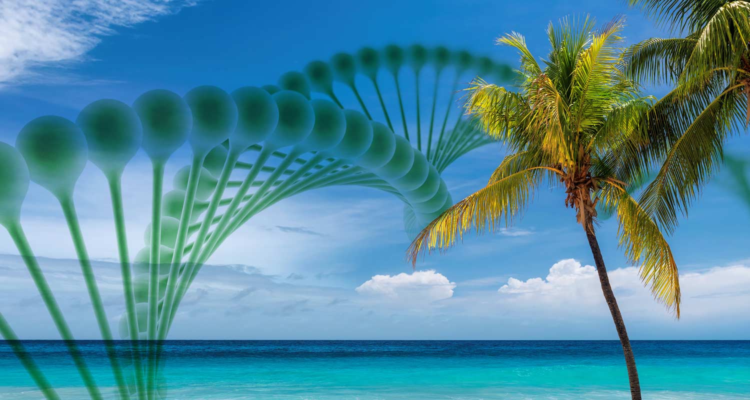 Biotechs to Watch in Florida