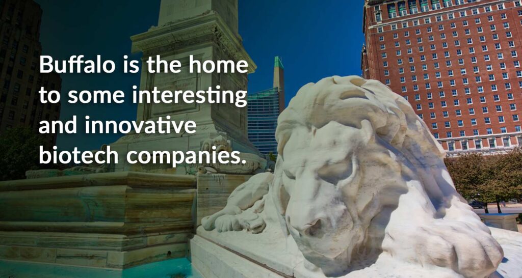 Image of Buffalo for article on local biotech.